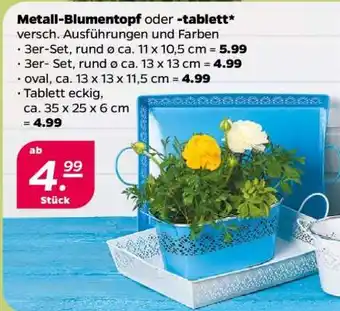 NETTO Metall-Blumentopf oder -tablett Angebot