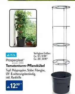 Aldi Süd Tomatenturm-Pflanzkübel Angebot