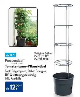 Aldi Nord Tomatenturm-Pflanzkübel Angebot