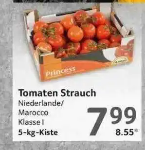 Selgros Tomaten Strauch Angebot