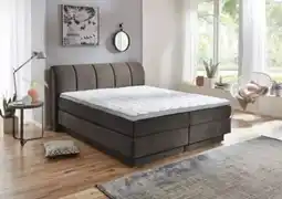 Möbel Inhofer Sun Garden Boxspringbett Angebot