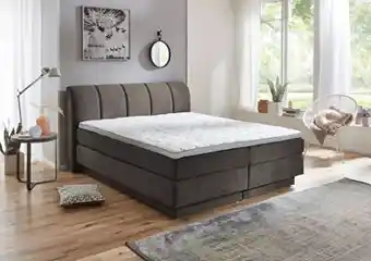 Möbel Inhofer Sun Garden Boxspringbett Angebot