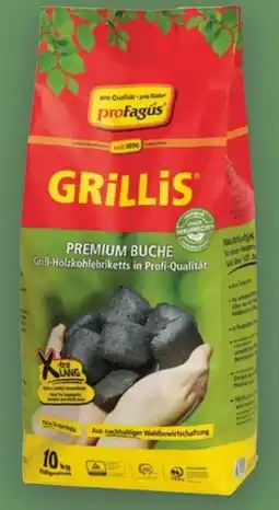 Handelshof proFagus Grillis Premium Buchen Grill-Holzkohlebriketts Angebot