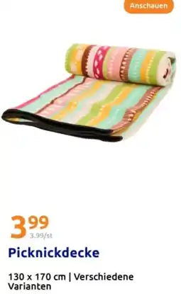 Action Picknickdecke Angebot