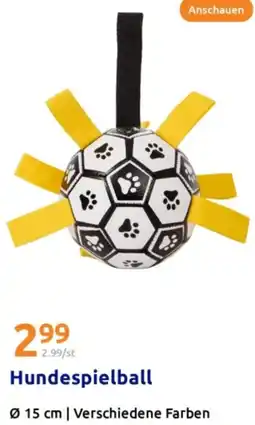 Action Hundespielball Angebot