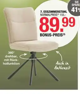 Hofmeister Esszimmerstuhl Angebot