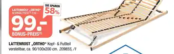 Hofmeister Lattenrost „ortho“ Angebot