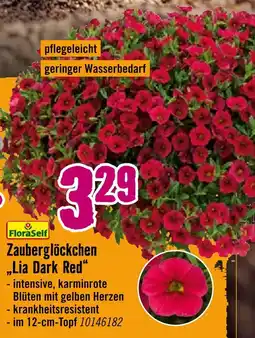Hornbach Floraself zauberglöckchen lia dark red Angebot