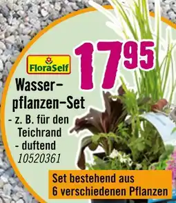 Hornbach Floraself wasserpflanzen-set Angebot
