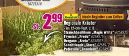 Hornbach Floraself regionale kräuter Angebot