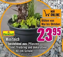 Hornbach Floraself miniteich Angebot