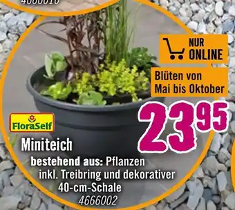 Hornbach Floraself miniteich Angebot