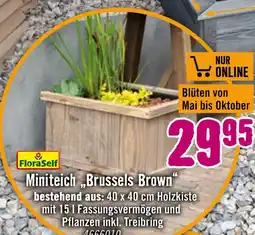 Hornbach Floraself miniteich „brussels brown“ Angebot