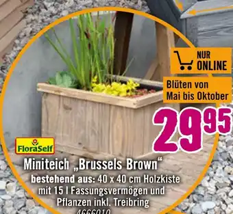 Hornbach Floraself miniteich „brussels brown“ Angebot