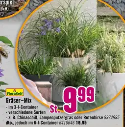 Hornbach Floraself gräser-mix Angebot