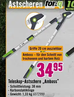 Hornbach For-q teleskop-astschere „amboss“ Angebot