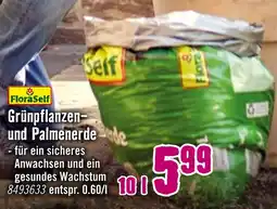 Hornbach Floraself grünpflanzen- und palmenerde Angebot
