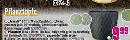 Hornbach Pflanztopf Angebot