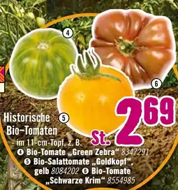 Hornbach Historische bio-tomaten Angebot