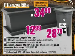 Hornbach Elho pflanzgefäße Angebot