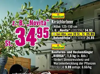 Hornbach Floraself kirschlorbeer oder koniferen- und heckendünger „biorga“ Angebot
