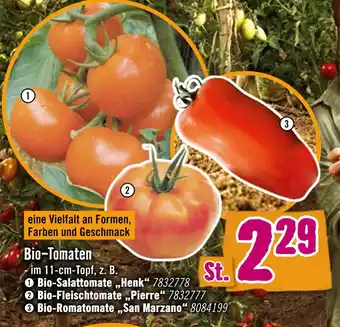 Hornbach Bio-tomaten Angebot