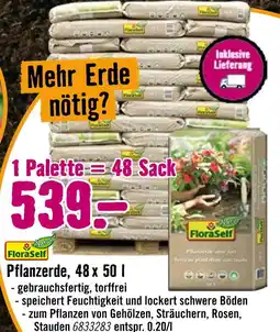 Hornbach Floraself pflanzerde Angebot