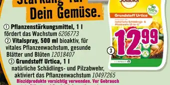 Hornbach Grundstoff urtica, 1 l Angebot