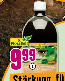Hornbach Floraself pflanzenstärkungsmittel Angebot