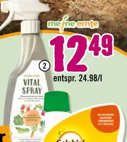 Hornbach Meine ernte vital vitalspray Angebot