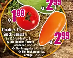 Hornbach Floralie & flo bio-bonbon-tomate anabelle oder bio-babygurke oder bio-zuckerpaprika, orange Angebot