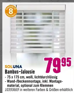 Hornbach Soluna bambus-jalousie Angebot