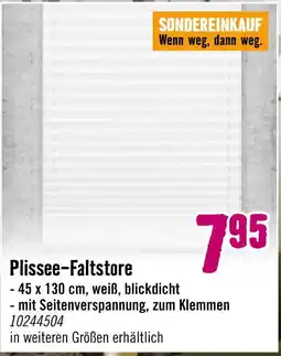Hornbach Plissee-faltstore Angebot