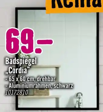 Hornbach Badspiegel cordia Angebot