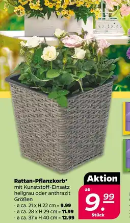 NETTO Rattan-pflanzkorb Angebot