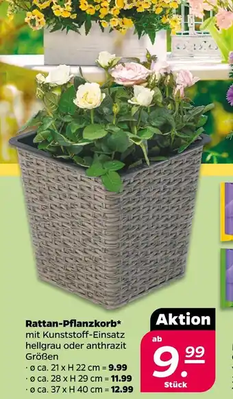 NETTO Rattan-pflanzkorb Angebot