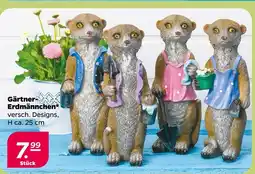 NETTO Gärtner-erdmännchen Angebot