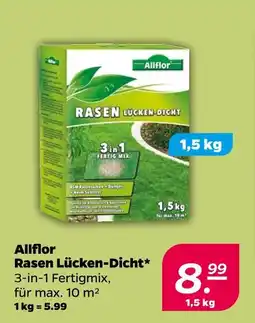 NETTO Allflor rasen lücken-dicht Angebot