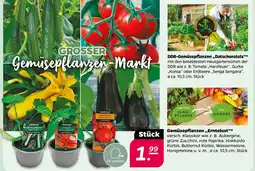 NETTO Gemüselust gemüsepflanzen „erntelust“ Angebot