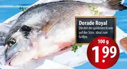Famila Nord Ost Dorade Royal Angebot