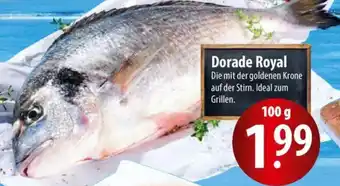 Famila Nord Ost Dorade Royal Angebot