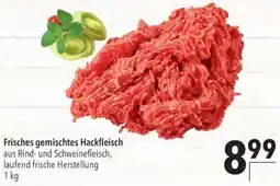 CITTI Markt Frisches gemischtes Hackfleisch Angebot