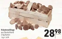 CITTI Markt Kräuterseitlinge Angebot