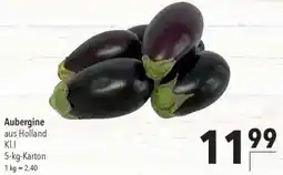 CITTI Markt Aubergine Angebot