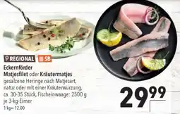 CITTI Markt Eckernförder Matjesfilet oder Kräutermatjes Angebot