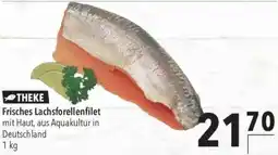 CITTI Markt Frisches Lachsforellenfilet Angebot