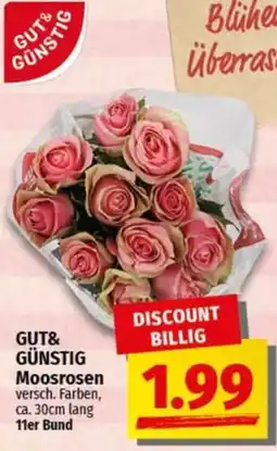 nah & gut GUT& GÜNSTIG Moosrosen Angebot