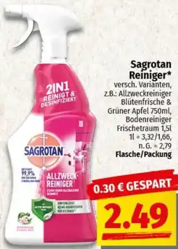 nah & gut Sagrotan Reiniger Angebot