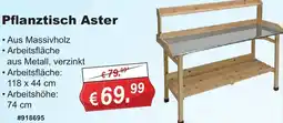 Stabilo Fachmarkt Pflanztisch Aster Angebot