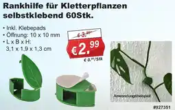 Stabilo Fachmarkt Rankhilfe für Kletterpflanzen selbstklebend 60Stk. Angebot